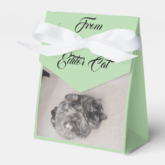 Von Editor Cat by RoseWrites Gefälligkeitsbox Geschenkschachtel (Vorderseite)