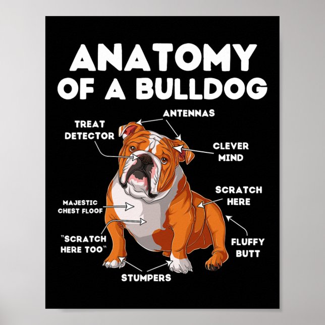 von einem Bulldog Poster (Vorne)
