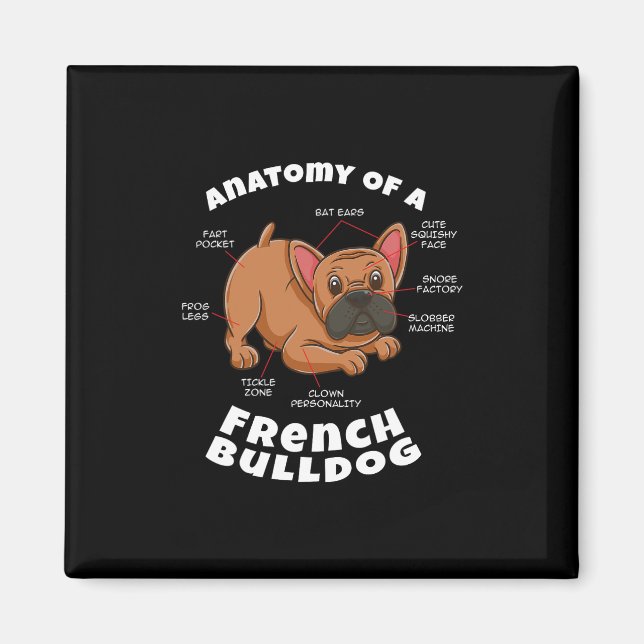 von einem französischen Bulldog Magnet (Vorne)