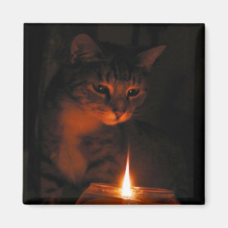 von Flammen fasziniert Magnet
