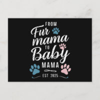 Von Fur Mama zu Baby Mama ca. 2025 Hund Katze Mama