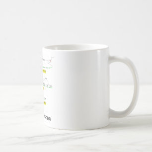 Von Gen zu Protein Kaffeetasse
