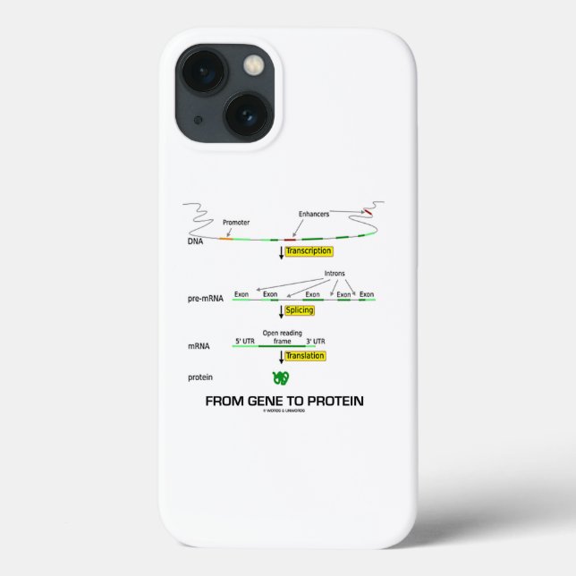 Von Gen zu Protein Molekularbiologie Case-Mate iPhone Hülle (Rückseite)