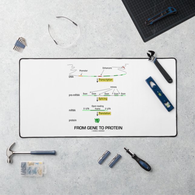 Von Gen zu Protein Molekularbiologie Schreibtischunterlage (Arbeitsplatz)