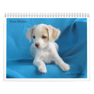 Von Harlan zu den sicheren Händen Kalender