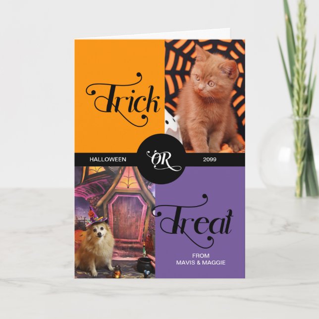 Von Haustier Trick oder Treat Halloween zwei Fotos Karte (Vorderseite)