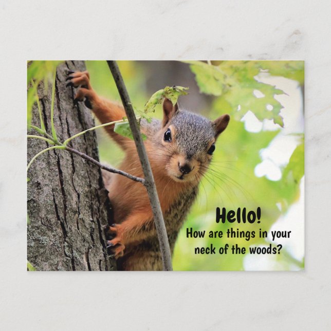 Von meinem Nacken des Waldes zu deiner Postkarte (Vorderseite)