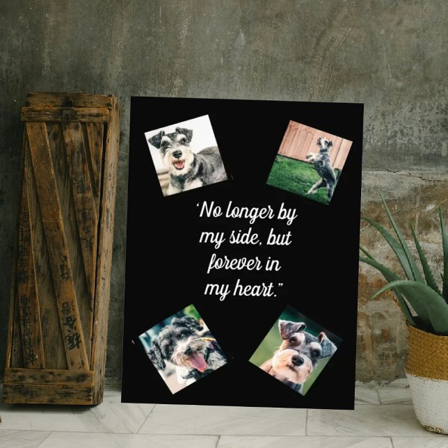 Von meinem Side-Hund-Foto-Gedenkmal nicht mehr in  Leinwanddruck (Von Creator hochgeladen)