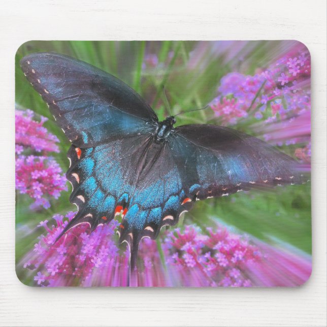 Von oben mousepad (Vorne)