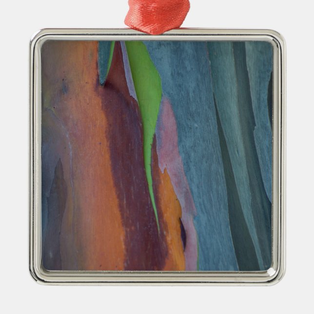  von Rainbow-Gum Ornament Aus Metall (Vorne)