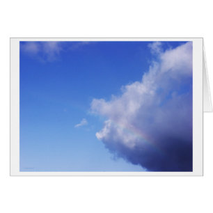 von Schweinen und Regenbogen