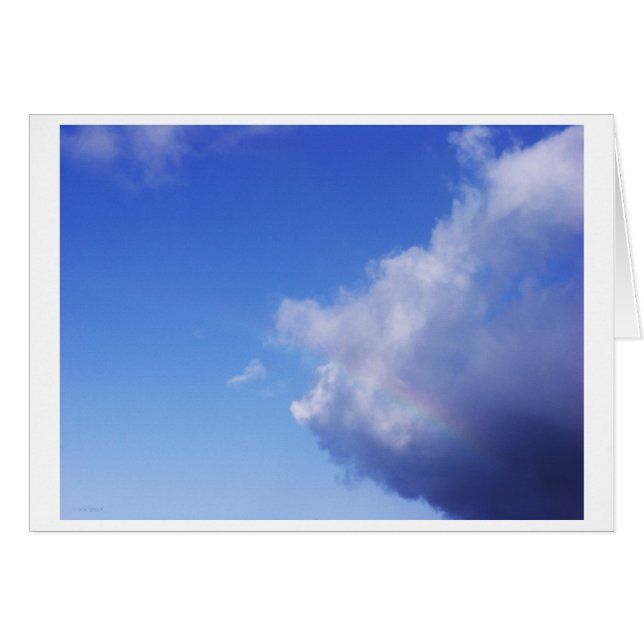 von Schweinen und Regenbogen (Vorderseite (Horizontal))