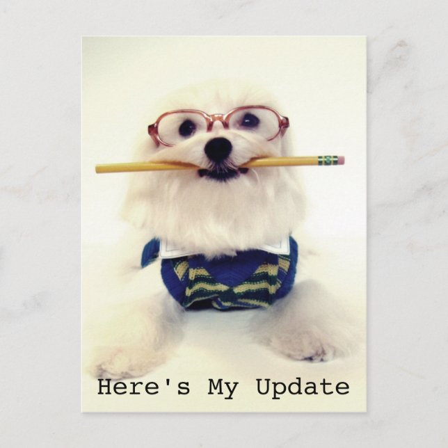 Von Student bis Eltern Postkarte (Vorderseite)