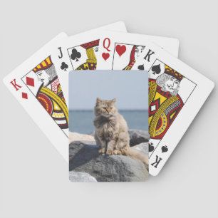 Von Wind zerzauste Katze am Meer Spielkarten