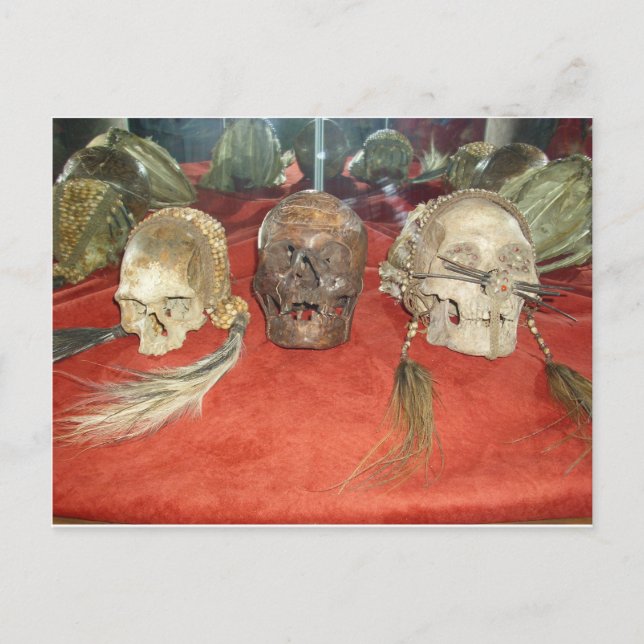 Voodoo-Anzeige für Schrumpfköpfe Postkarte (Vorderseite)