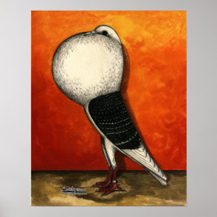 Voorburg Cropper Pigeon Blue Karo Poster