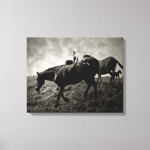 Vor dem Sturm eingewickelte Leinwand