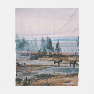 VOR DER SONNE IM YELLOWSTONE NATIONALPARK FLEECEDECKE