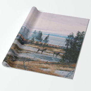 VOR DER SONNE IM YELLOWSTONE NATIONALPARK GESCHENKPAPIER