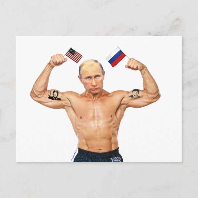 Voradressierte Postkarte an Trump, den Bully Pulpi (Vorderseite)