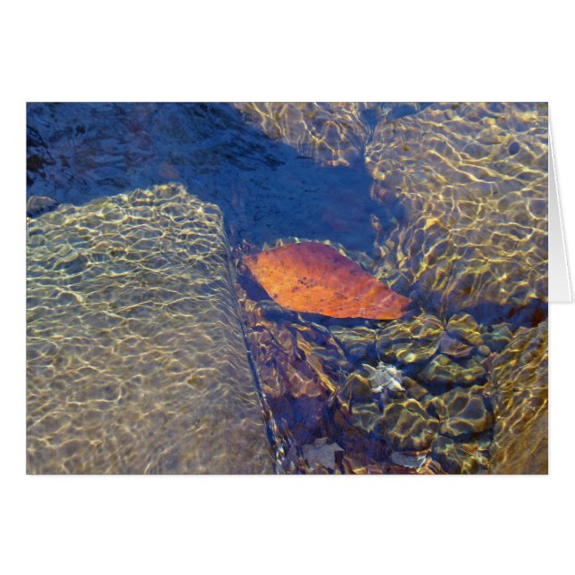 Vorbei schwimmen (Vorderseite (Horizontal))