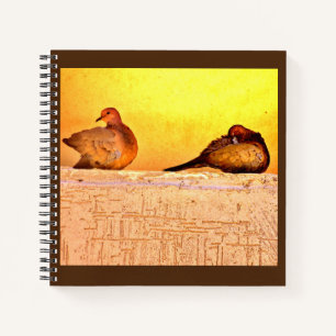 Vorbereiten von Doves Notizbuch