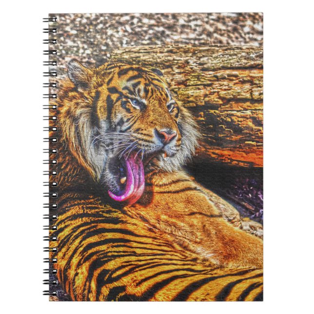 Vorbereiten von Sumatran Tiger Big Cat Wildlife Notizblock (Vorderseite)