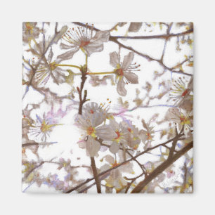 Vorbereitung 2014 magnet