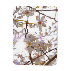 Vorbereitung 2014 magnet