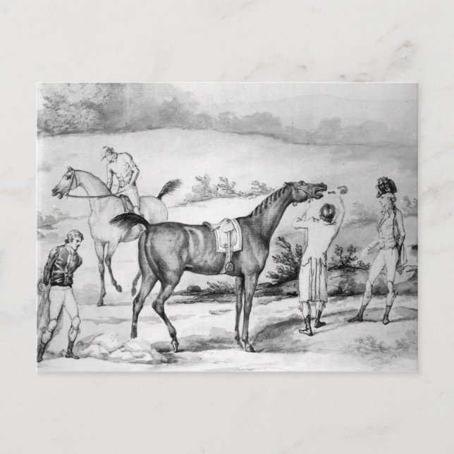 Vorbereitung auf ein Rennen Postkarte (Vorderseite)