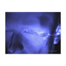 Vorderansicht des Innenohrs