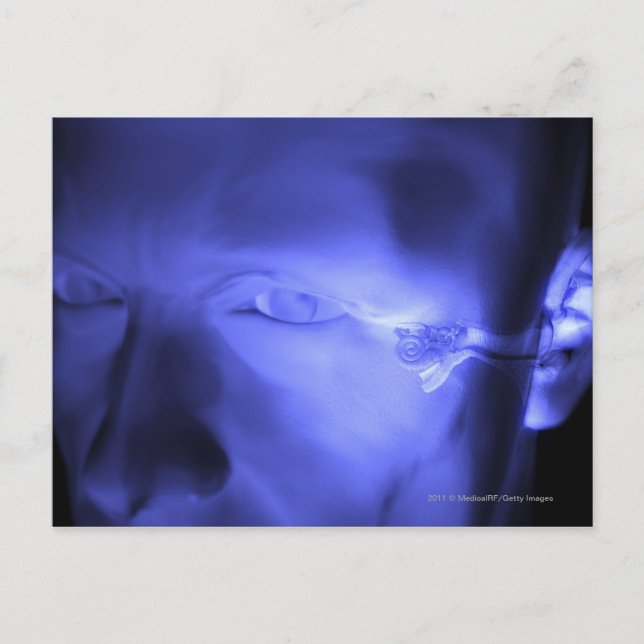 Vorderansicht des Innenohrs Postkarte (Vorderseite)