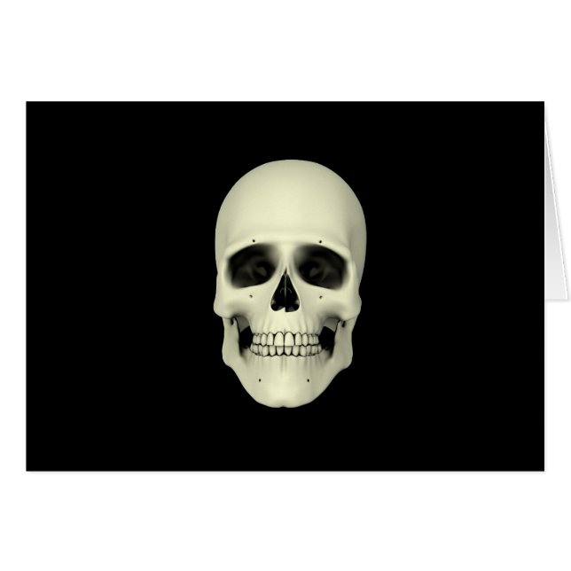 Vorderansicht des menschlichen Schädels (Vorderseite (Horizontal))