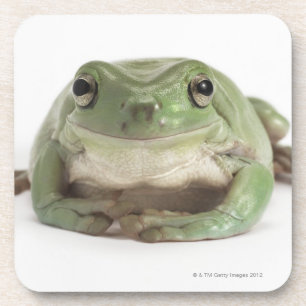 Vorderansicht-Studio schoss von einem Lächeln, Untersetzer