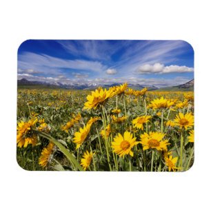 Vordere Bergkette der Rocky Mountains Magnet