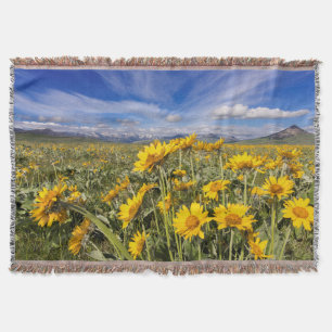 Vordere Kette der Rocky Mountains Decke
