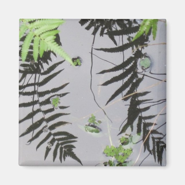 Vordere Reflektionen Magnet (Vorne)