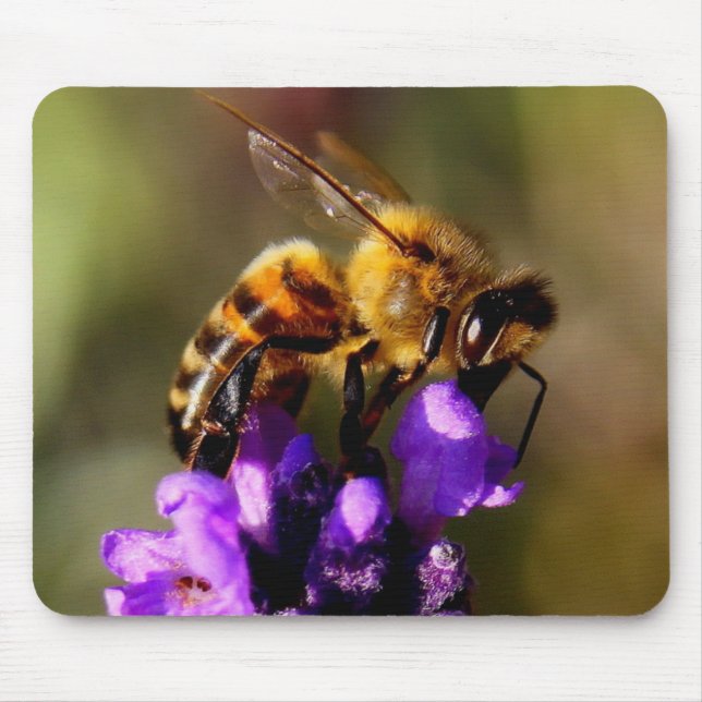 Vordergrundbienen-Foto Mousepad (Vorne)