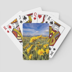 Vorderkette der Rocky Mountains Spielkarten
