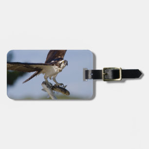 Vorführen Gepäckanhänger