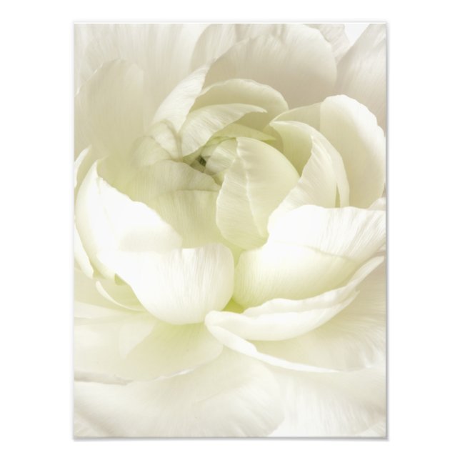 Vorgabe für die Blume mit hoher Schlankheit von Wh Fotodruck (Vorne)