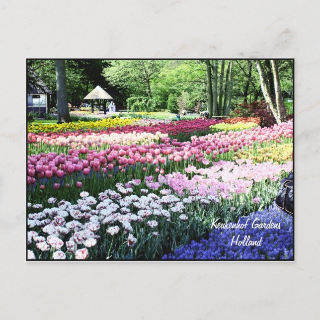 Vorlage der Postkarte, Blumengärten Postkarte (Vorderseite)