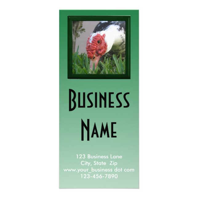 Vorlage für das Nah-up-Foto des Encks Werbekarte (Vorne)