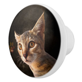 Vorlage für den benutzerdefinierten Foto Cat Dog L Keramikknauf