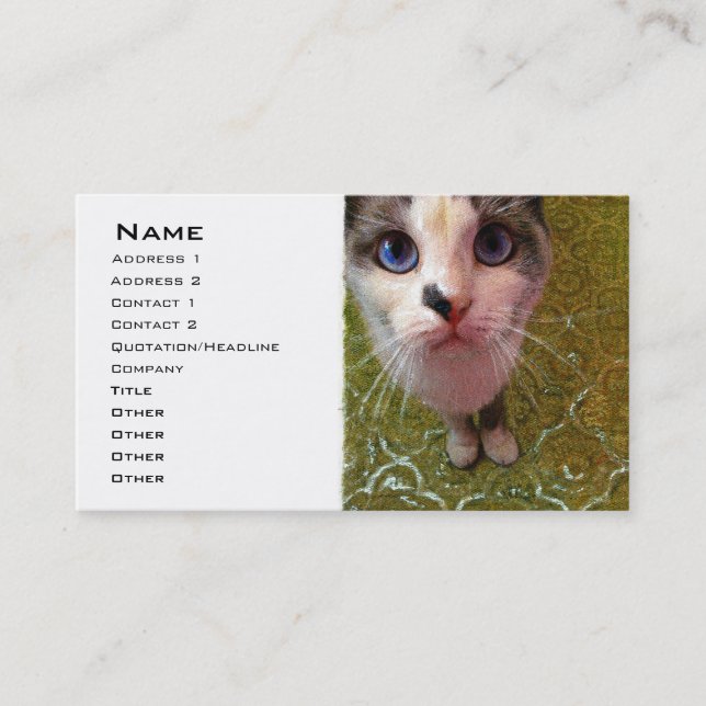 Vorlage für die Blue Mit Augen Cat Business Card Visitenkarte (Vorderseite)