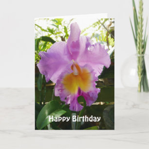 Vorlage für die lila Cattleya-Orchid-tropische Blu