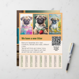 Vorlage für ein Flugblatt zum Verkauf von Pug-Welp