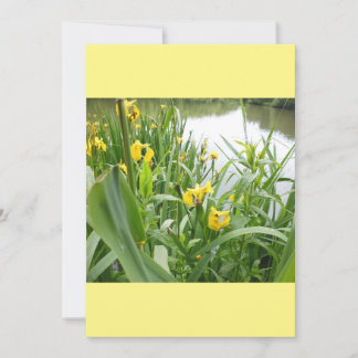 Vorlage für individuell anpassbare Einladungen