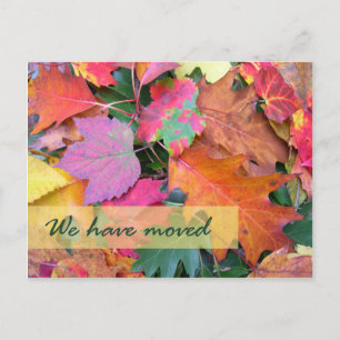 Vorlage für neue Adresse im Forest Floor