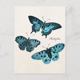 Vorlage für Vintage Aquamarine Blauer Schmetterlin Postkarte